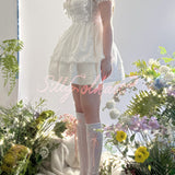 [Sold out forever — just here to be remembered ♡] Silly Solkatt Alice’s Angel Aura White Gingham Apron Set