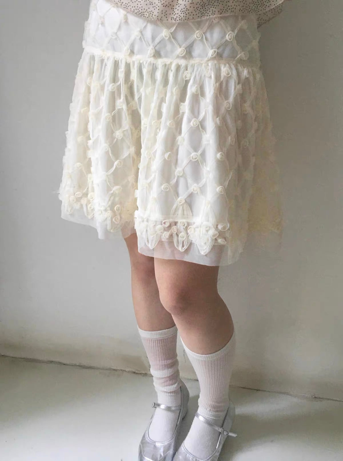 スライド画像