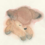 IMG_9548.JPG__PID:cedc18cc-1de8-480a-aeee-a2b0f84905ef