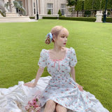 Get trendy with Dolly Memory Babydoll Dress -  available at Peiliee Shop. Grab yours for $55 today!