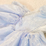 Get trendy with [Customized] The memory of swan lake lace tutu dress - Dress available at Peiliee Shop. Grab yours for $129.90 today!